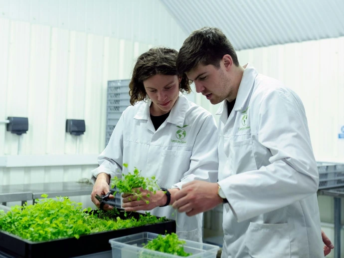 Scientifiques ou agronomes en blouse blanche examinant des pousses de verdure fraîche dans un bac de culture hydroponique d'intérieur. Idéal pour illustrer l'agriculture urbaine, l'innovation agroalimentaire et la recherche végétale.